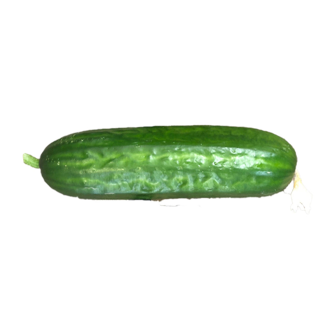 Cucumber Mini (each) - Organic Delivery Company