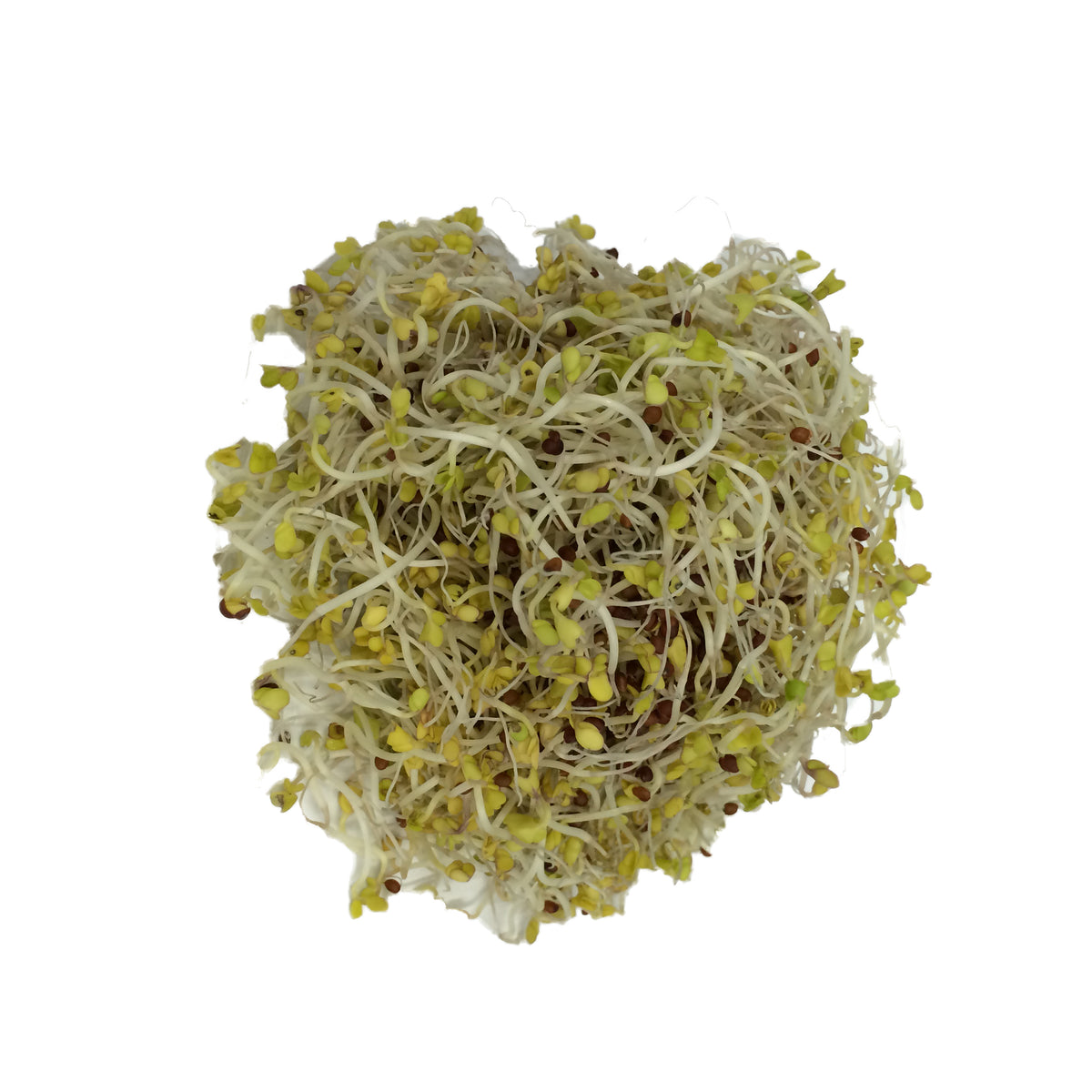 Sky Sprouts Broccoli 100g Organic Delivery Company