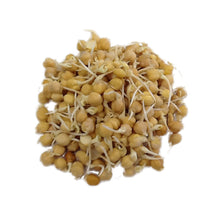 Load image into Gallery viewer, Sky Sprouts Chickpea 225g - Organic Delivery Company
