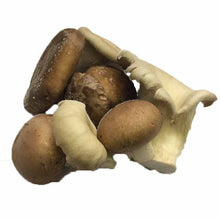 Load image into Gallery viewer, Seasonal Mixed Mushrooms 250g - Organic Delivery Company
