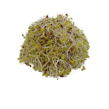 Load image into Gallery viewer, Sky Sprouts Alfalfa &amp; Broccoli 100g - Organic Delivery Company
