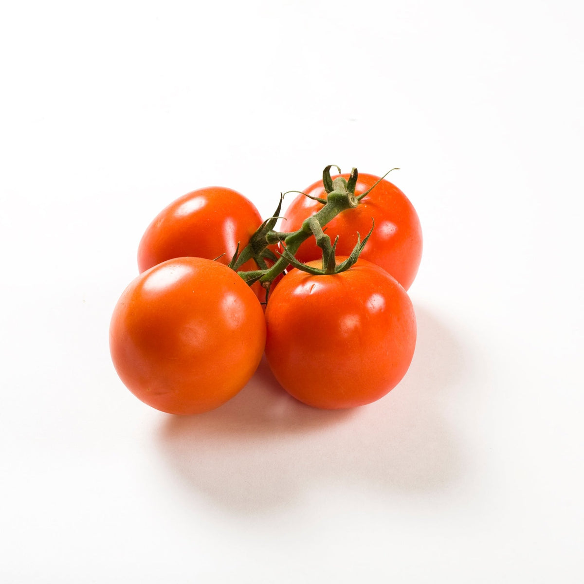 Vine Tomatoes 500g Organic Delivery Company