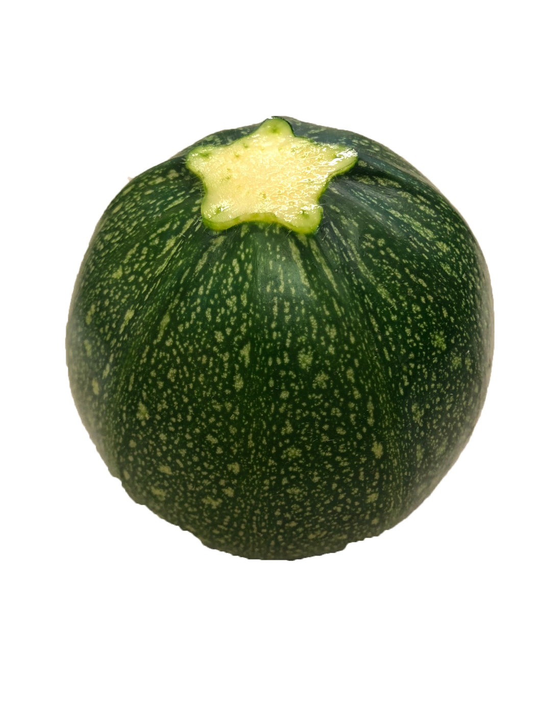 Courgettes Round (each) - Organic Delivery Company