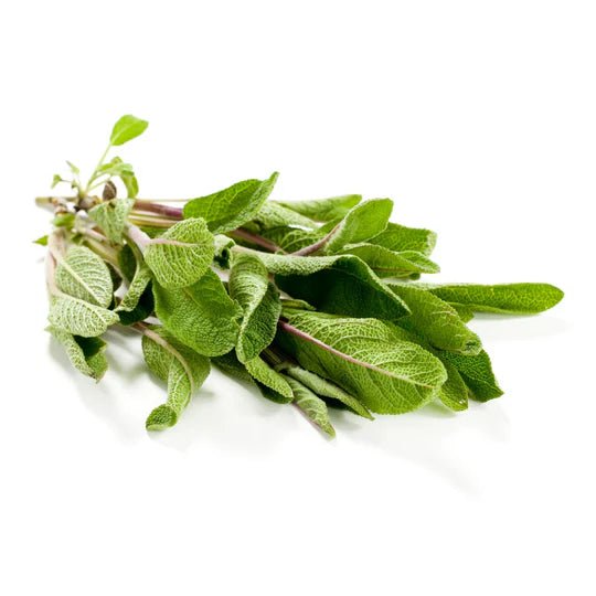 Organic Fresh Sage 500g - Organic Delivery Company