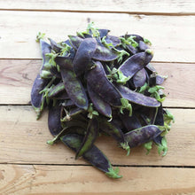 Load image into Gallery viewer, Purple Mange Tout 250g - Organic Delivery Company
