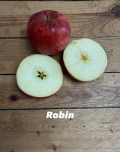 Load image into Gallery viewer, Seasonal Apples 750g - Organic Delivery Company
