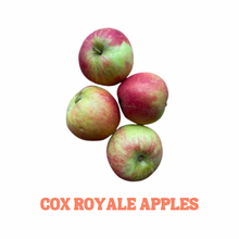 Load image into Gallery viewer, Seasonal Apples 750g - Organic Delivery Company
