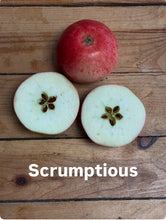Load image into Gallery viewer, Seasonal Apples 750g - Organic Delivery Company
