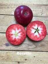 Load image into Gallery viewer, Seasonal Apples 750g - Organic Delivery Company

