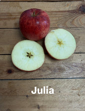Load image into Gallery viewer, Seasonal Apples 750g - Organic Delivery Company
