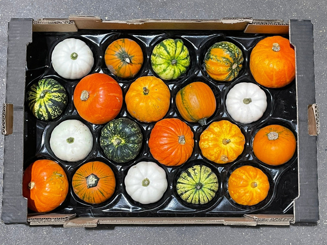 Squash Mini Mixed 20 pieces - Organic Delivery Company