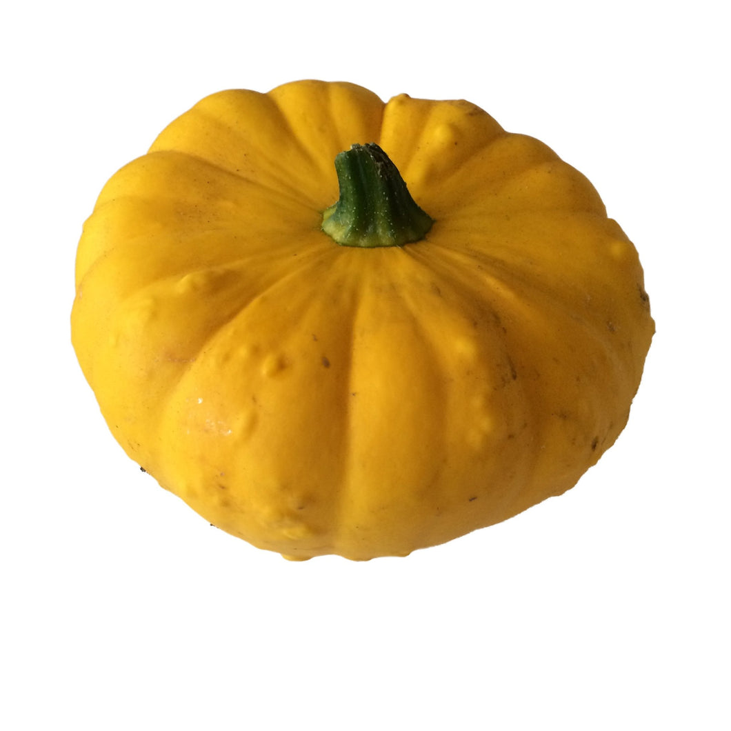 Squash Patti Pan 2 of - Organic Delivery Company