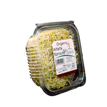 Load image into Gallery viewer, Sky Sprouts Alfalfa 100g - Organic Delivery Company
