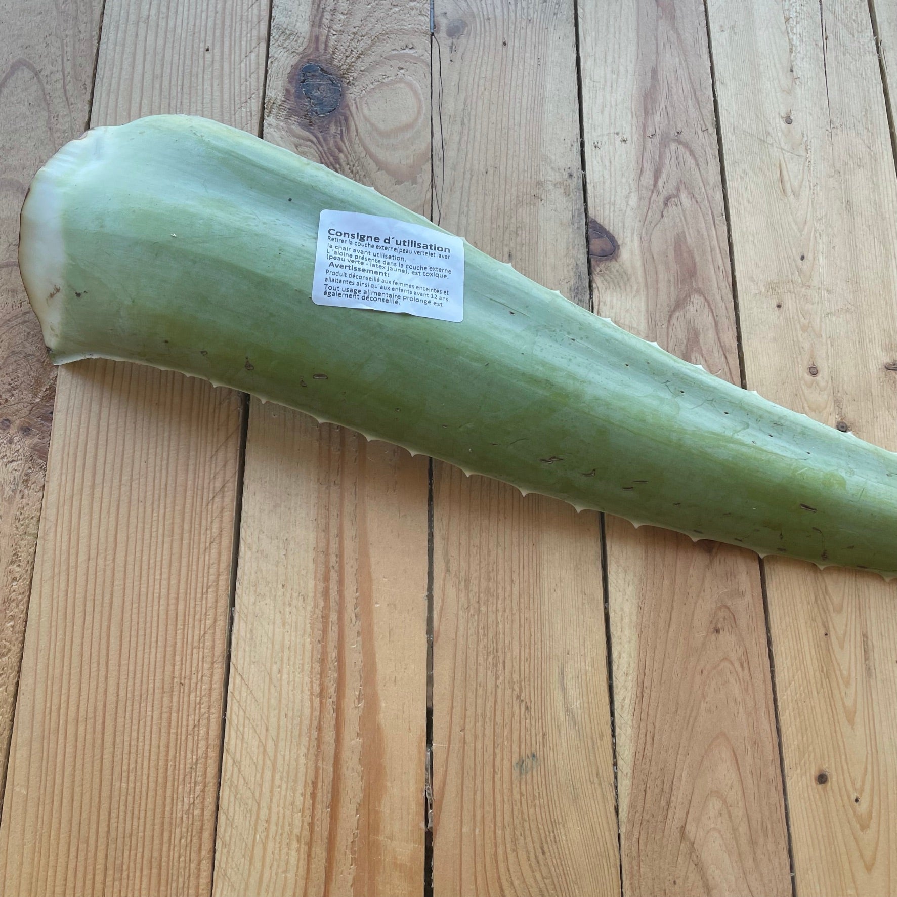 Aloe Vera Leaf – Organic Delivery Company