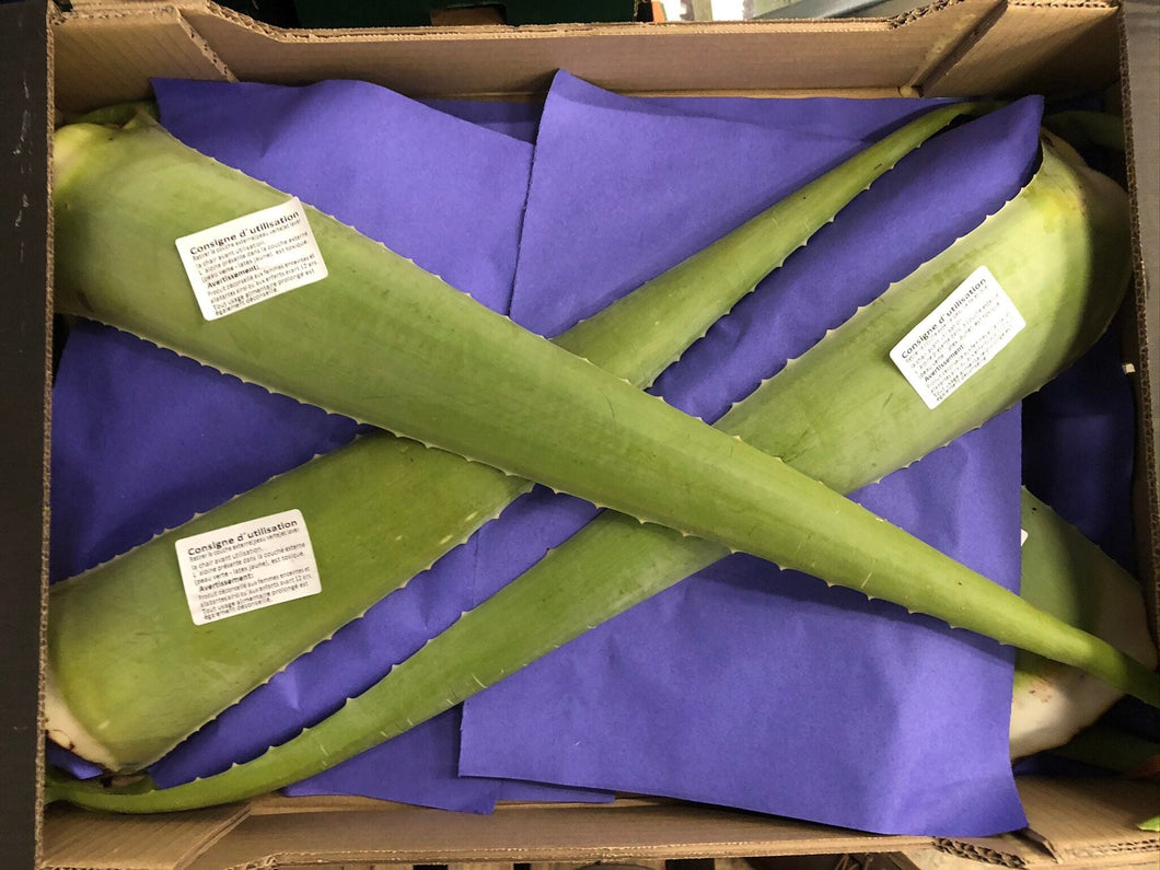 Aloe Vera Leaf 4 Kg - Organic Delivery Company