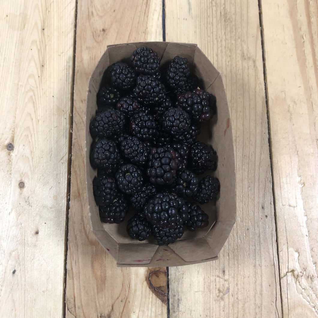 Blackberries 125g - Organic Delivery Company
