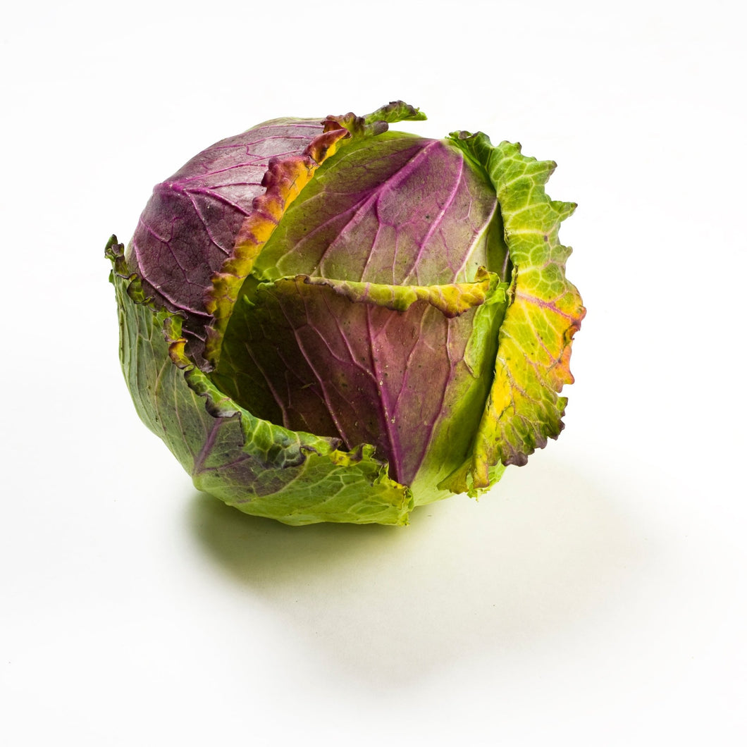 Cabbage January King - Organic Delivery Company