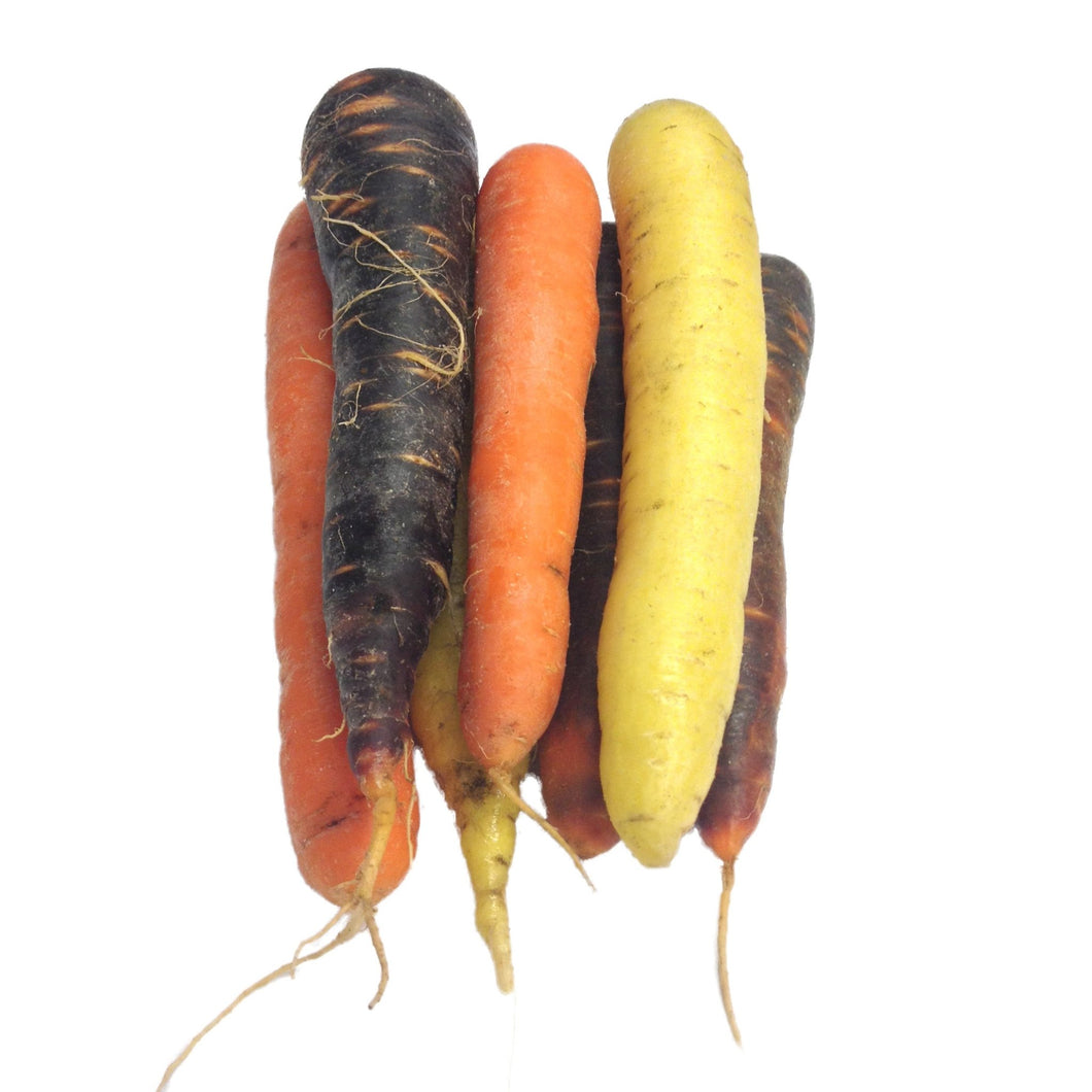 Carrots Rainbow 750g - Organic Delivery Company