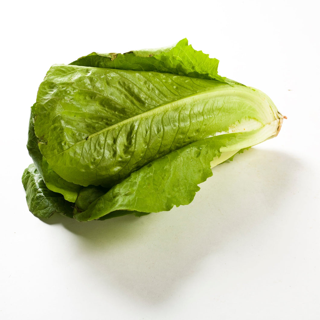 Cos / Romaine Lettuce - Organic Delivery Company