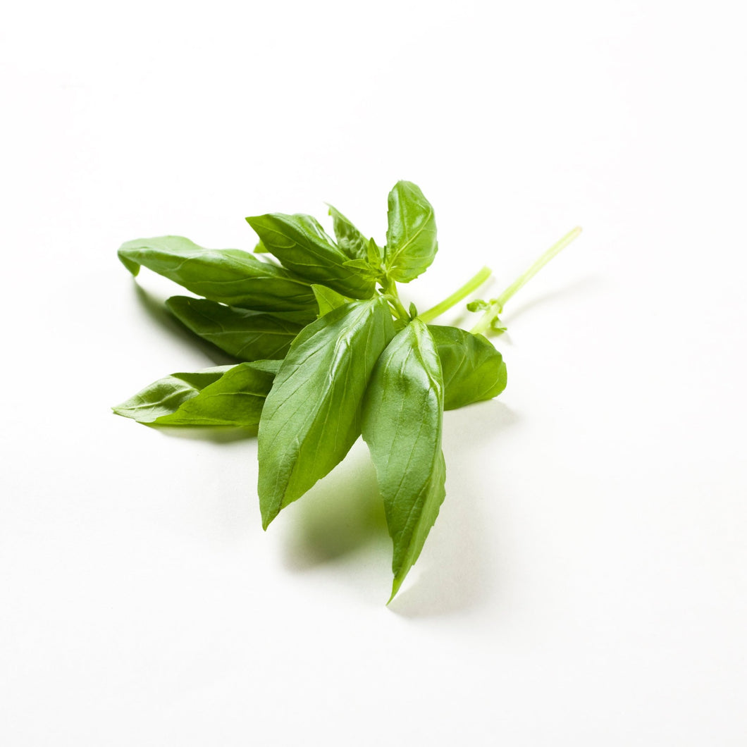 Fresh Basil 20g - Organic Delivery Company