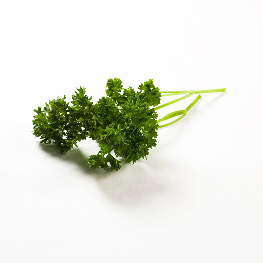 Fresh Curly Parsley 20g - Organic Delivery Company