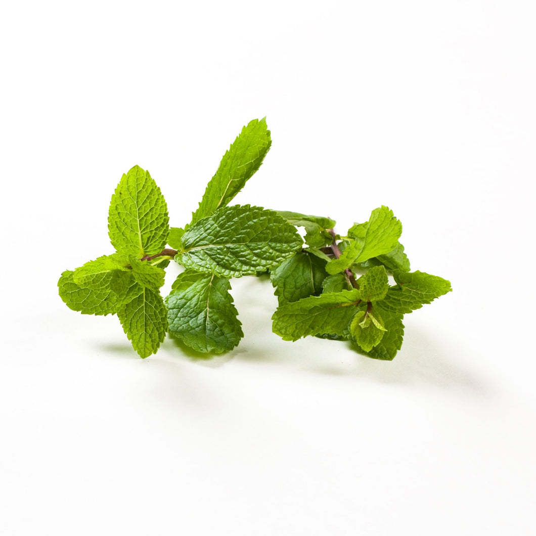Fresh Mint 500g - Organic Delivery Company