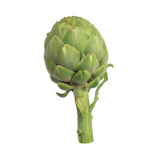 Load image into Gallery viewer, Globe Artichoke (each) - Organic Delivery Company
