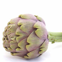 Load image into Gallery viewer, Globe Artichoke (each) - Organic Delivery Company
