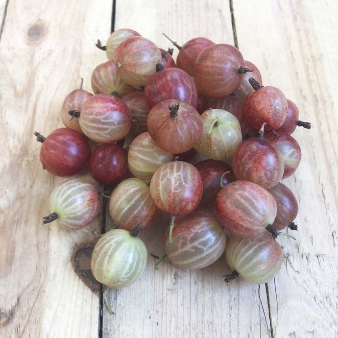 Gooseberries Dessert Red 225g - Organic Delivery Company
