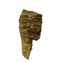 Load image into Gallery viewer, Horseradish 500g - Organic Delivery Company
