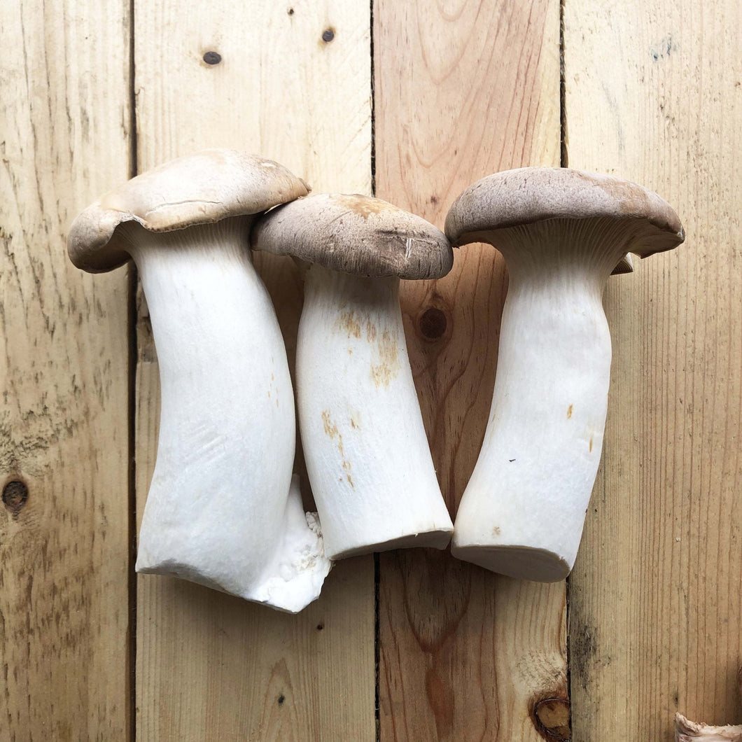 King Oyster Mushrooms 1 Kg - Organic Delivery Company