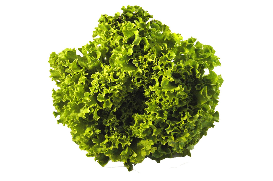 Lettuce Batavia - Green - Organic Delivery Company