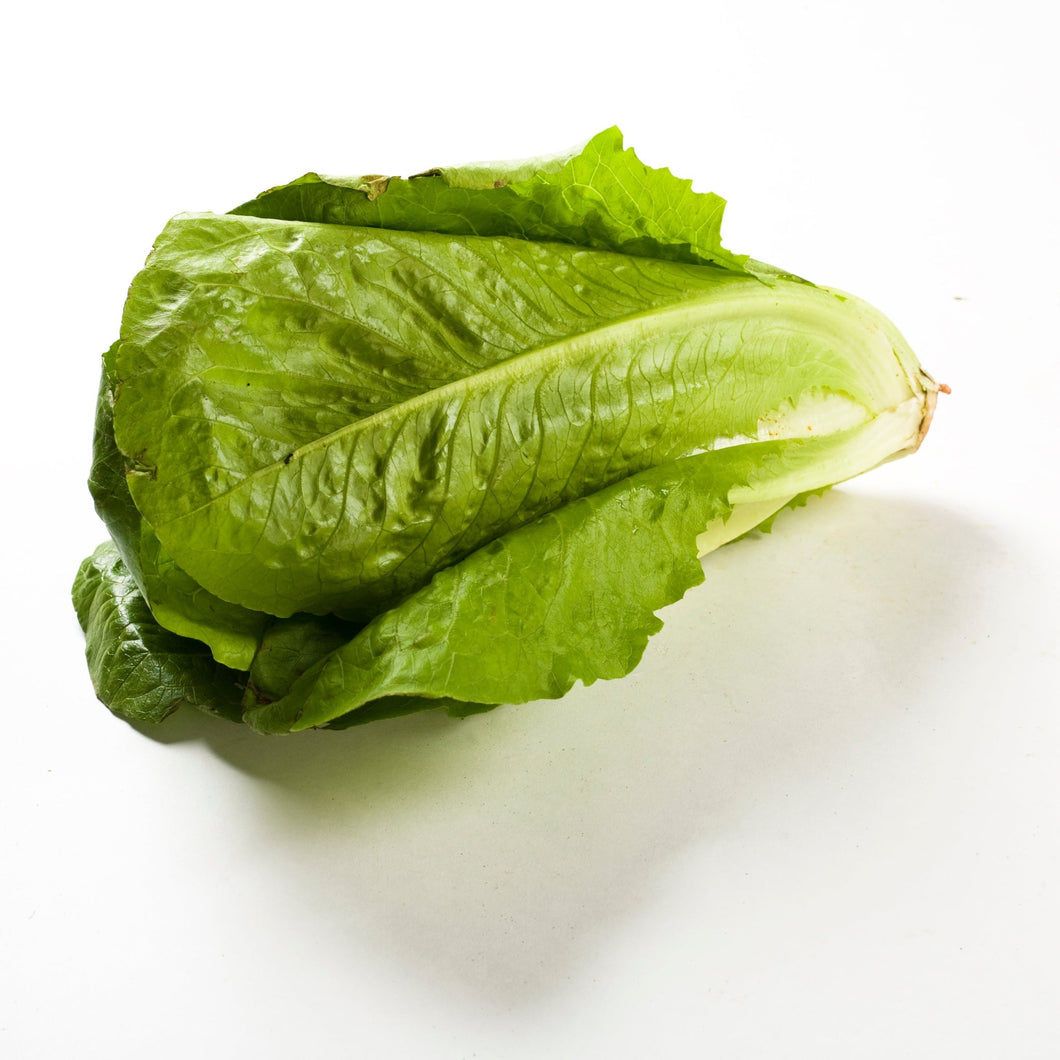 Lettuce Cos Bulk 10 pack - Organic Delivery Company