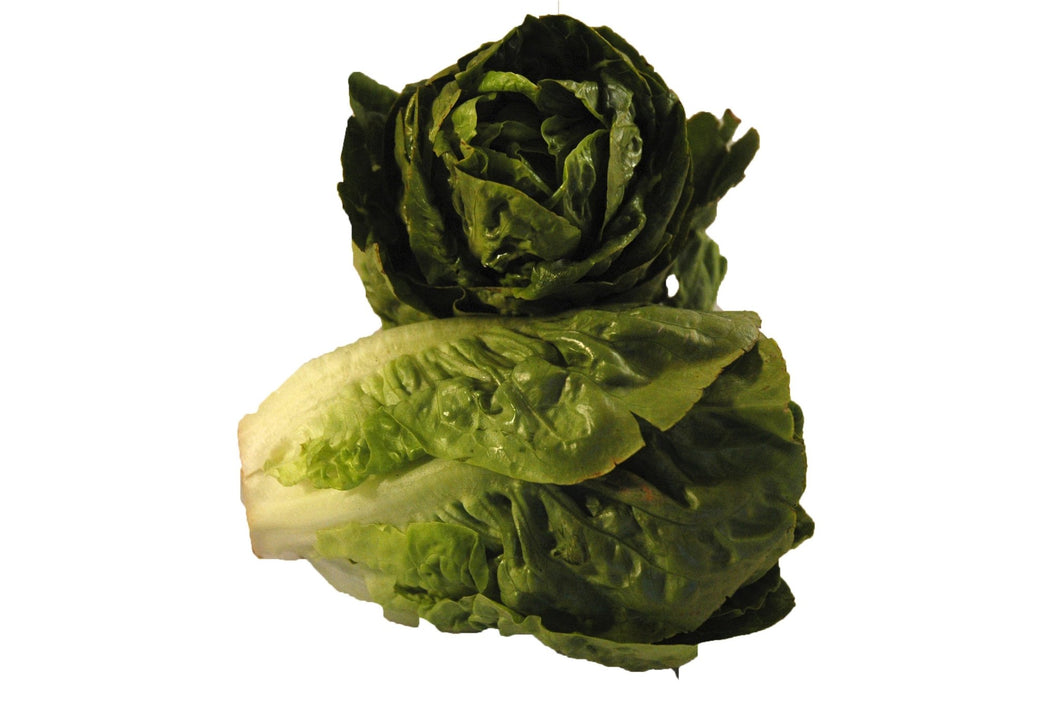 Lettuce Little Gem 2 pack - Organic Delivery Company
