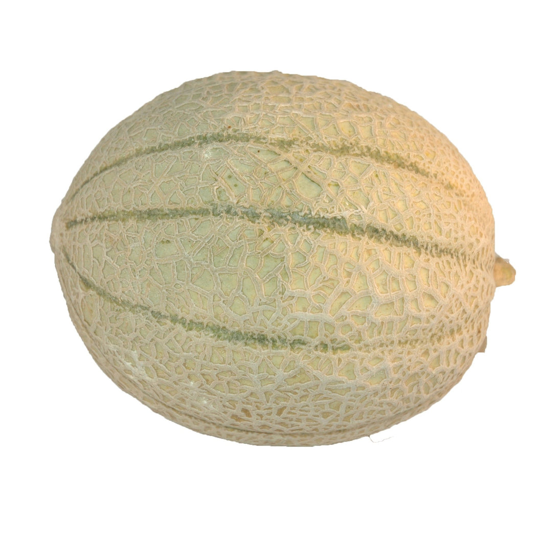 Melon Cantaloupe - Organic Delivery Company