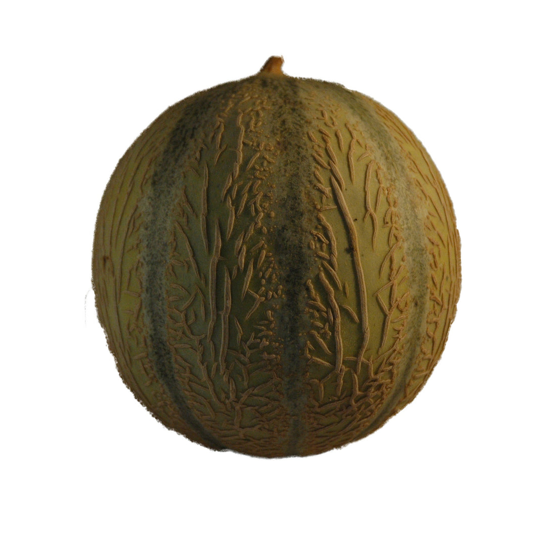Melon Galia - Organic Delivery Company