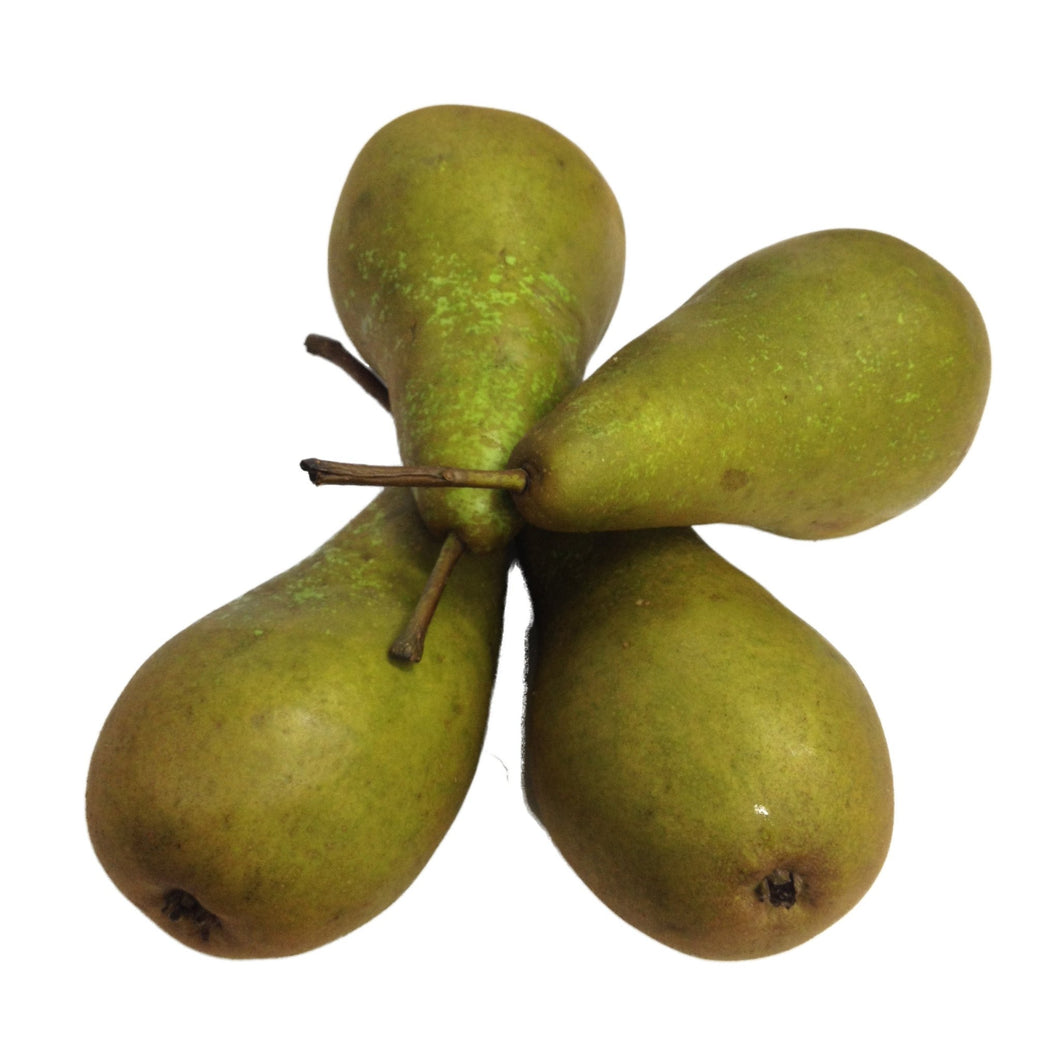 Pears Conference - Organic Delivery Company