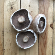 Load image into Gallery viewer, Portobello Mushrooms 300g - Organic Delivery Company
