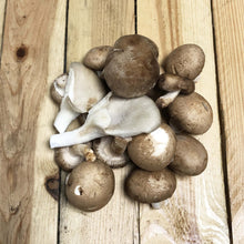 Load image into Gallery viewer, Seasonal Mixed Mushrooms 250g - Organic Delivery Company
