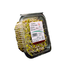 Load image into Gallery viewer, Sky Sprouts Radish 100g - Organic Delivery Company
