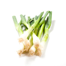 Load image into Gallery viewer, Spring Onions ( 20 Bunches) - Organic Delivery Company
