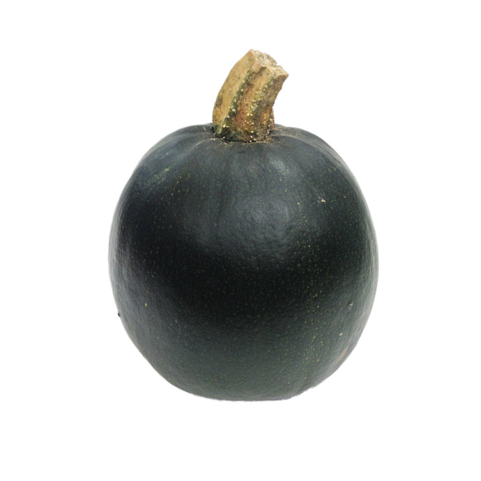 Squash Gem - Organic Delivery Company