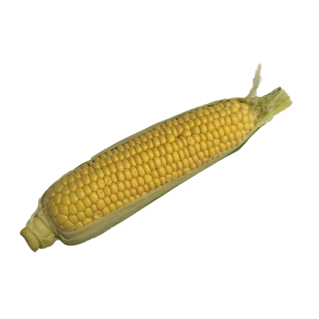 Sweetcorn Fresh Cob - Organic Delivery Company