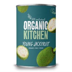 Young Jackfruit 400g - Organic Delivery Company